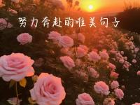 乐鱼体育app-霍芬海姆队挑战强敌，全力以赴追逐梦想